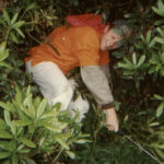WC2000_004